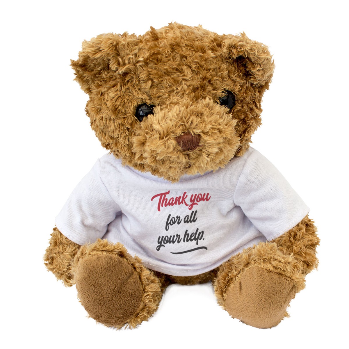 Thank's Teddy Bear ぬいぐるみと小さいBear付き NEW - THANK YOU FOR ALL YOUR HELP - Teddy Bear - Cute Soft