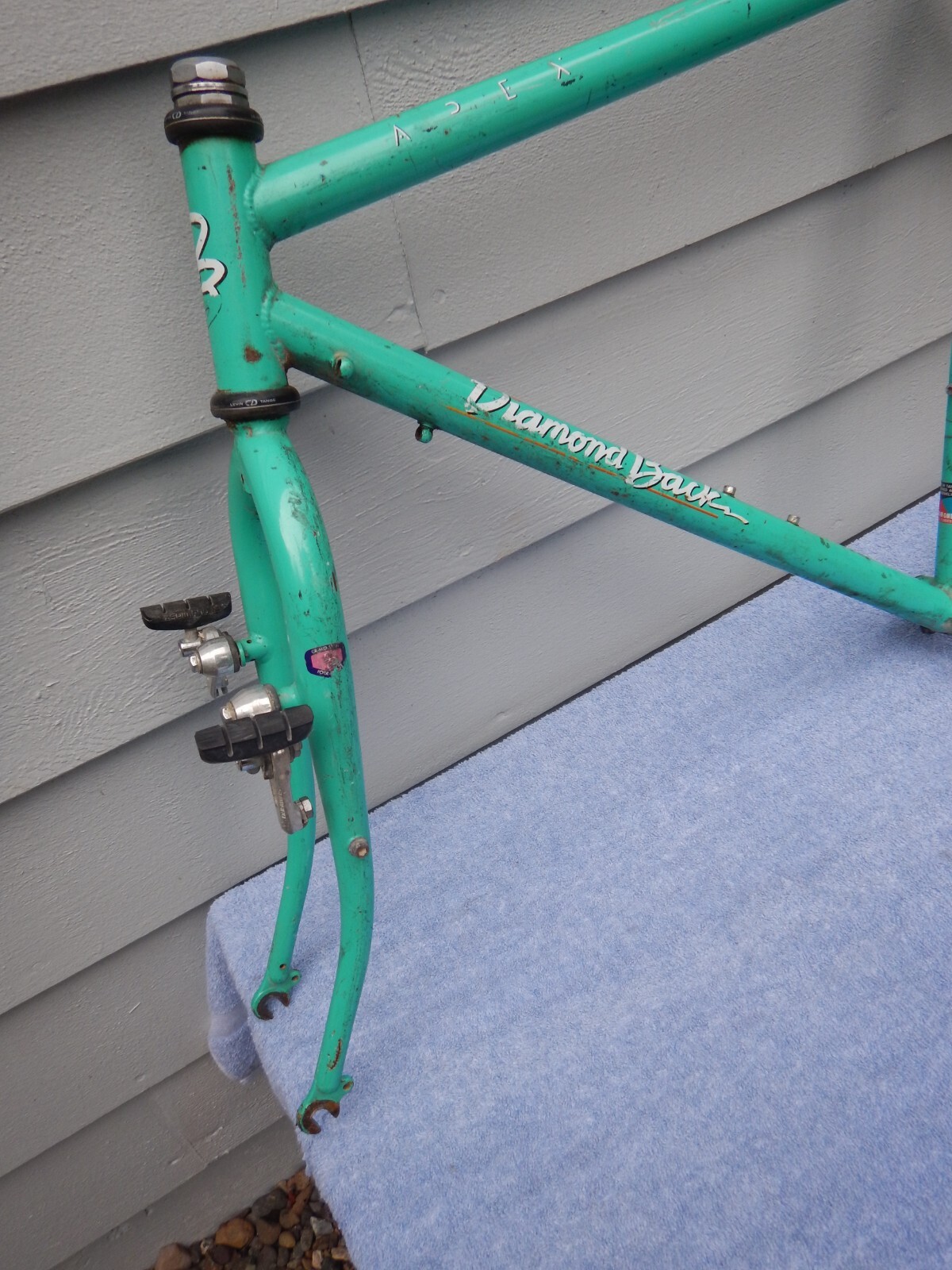 19" Diamond Back Apex Vintage Mountain Bike Frameset Chromoly Steel