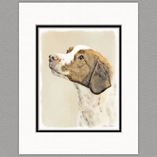 Brittany Spaniel Original Art Print 8x10 Matted to 11x14