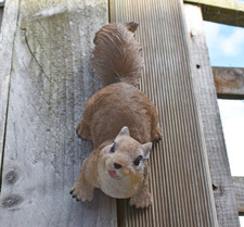 Climbing Red Squirrel Garden Ornament Wall Hanging Fence Decor Animal Sculpture