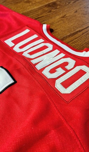 Nike Swift 2010 Team Canada Goalie Jersey Roberto Luongo HOF Vancouver Olympics - Picture 12 of 15