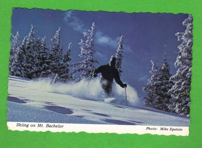 Vintage Postcard   Skiing on Mt. Bachelor, Oregon (Cascade Range)