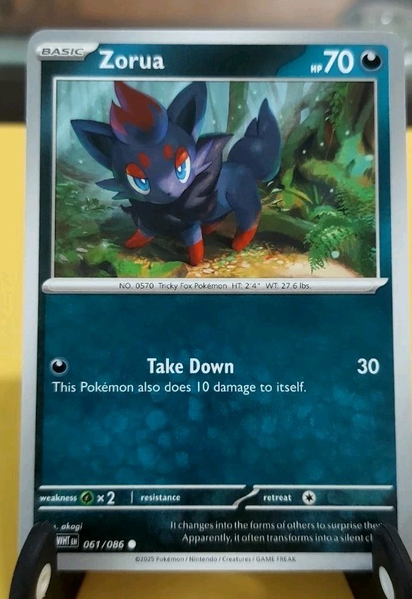 Pokémon : Zorua 61/86, SV- White Flare- Common- Regular- NM