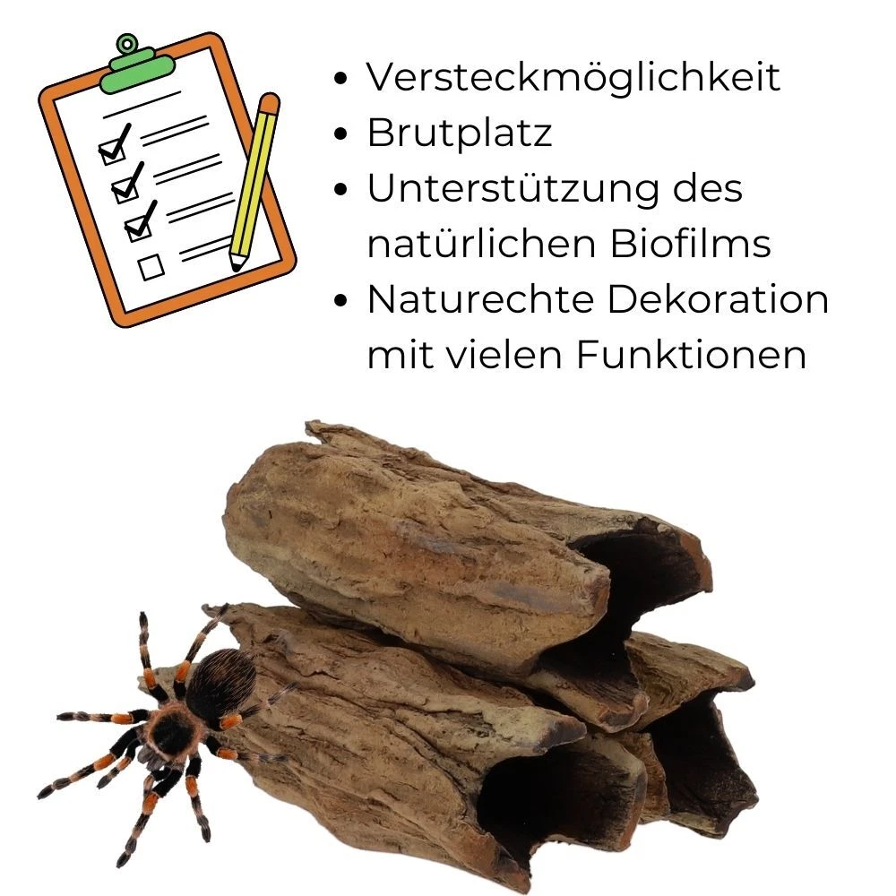 Bild 5 von 6