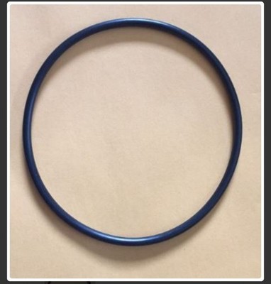 Echoplex Belt