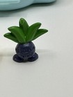 Picture 16 of 24