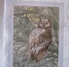 Riolis EAGLE OWL Cross Stitch Kit 14 Ct Cross Stitch NEW UNOPENED  