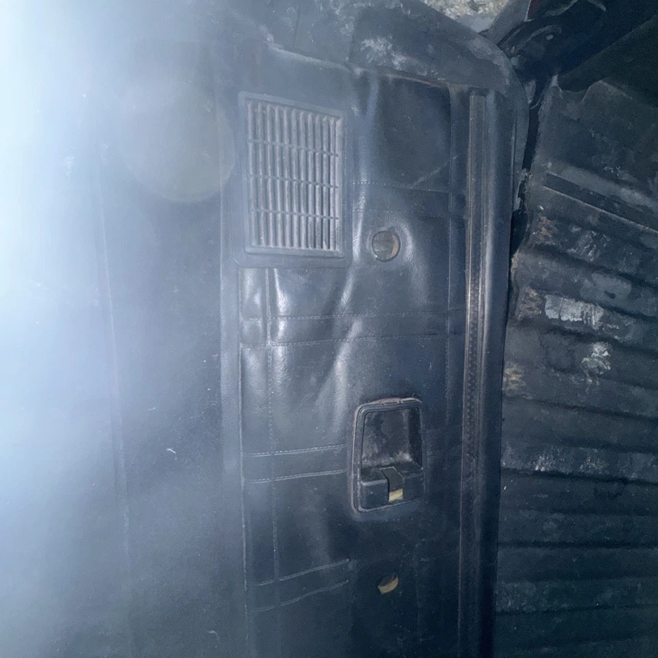 AMC Hornet Amx 1977 hatchback lado del pasajero panel interior de la puerta Foto 3 de 4