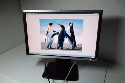 HP LA2205wg LCD Monitor 22'' VGA DP DVI-D 2-Port USB Hub 519140-001 519685-001