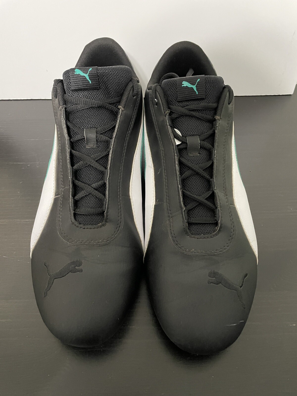 Puma R-Cat Mercedes AMG Petronas Motor 