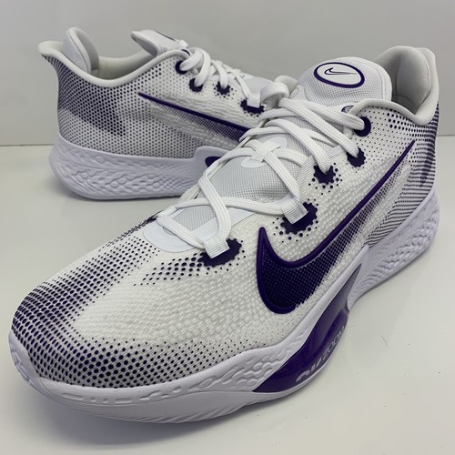 nike zoom bb low