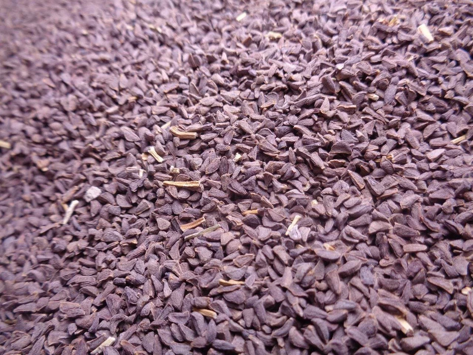 Harmal Harmala Natural Organic Seeds Wild Rue Syrian Herb Pure seeds 500 Gm - Image 4 of 4