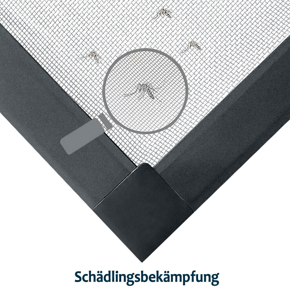 Bild 6 von 15