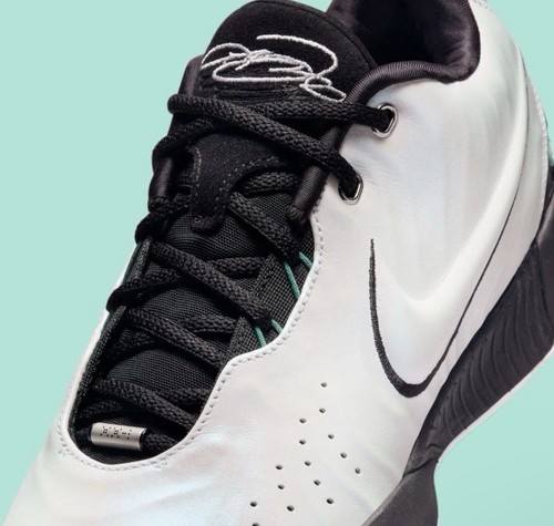 Nike LeBron 21 Conchiolin White Black James Basketball Retro HF5841-100 Men’s 11 - Picture 6 of 8