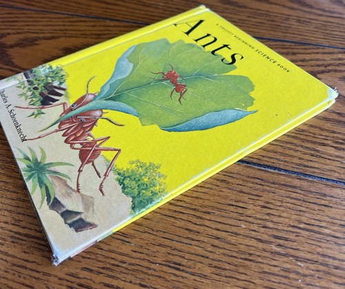 Ants By Charles Schoenknecht 1961 1st Edition HC - Picture 3 of 7