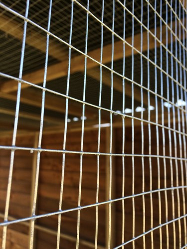 Animal Run 6FT x 9FT x 6FT Pet Run 19G Rabbit Chicken Pen Bird Aviary - Picture 25 of 28
