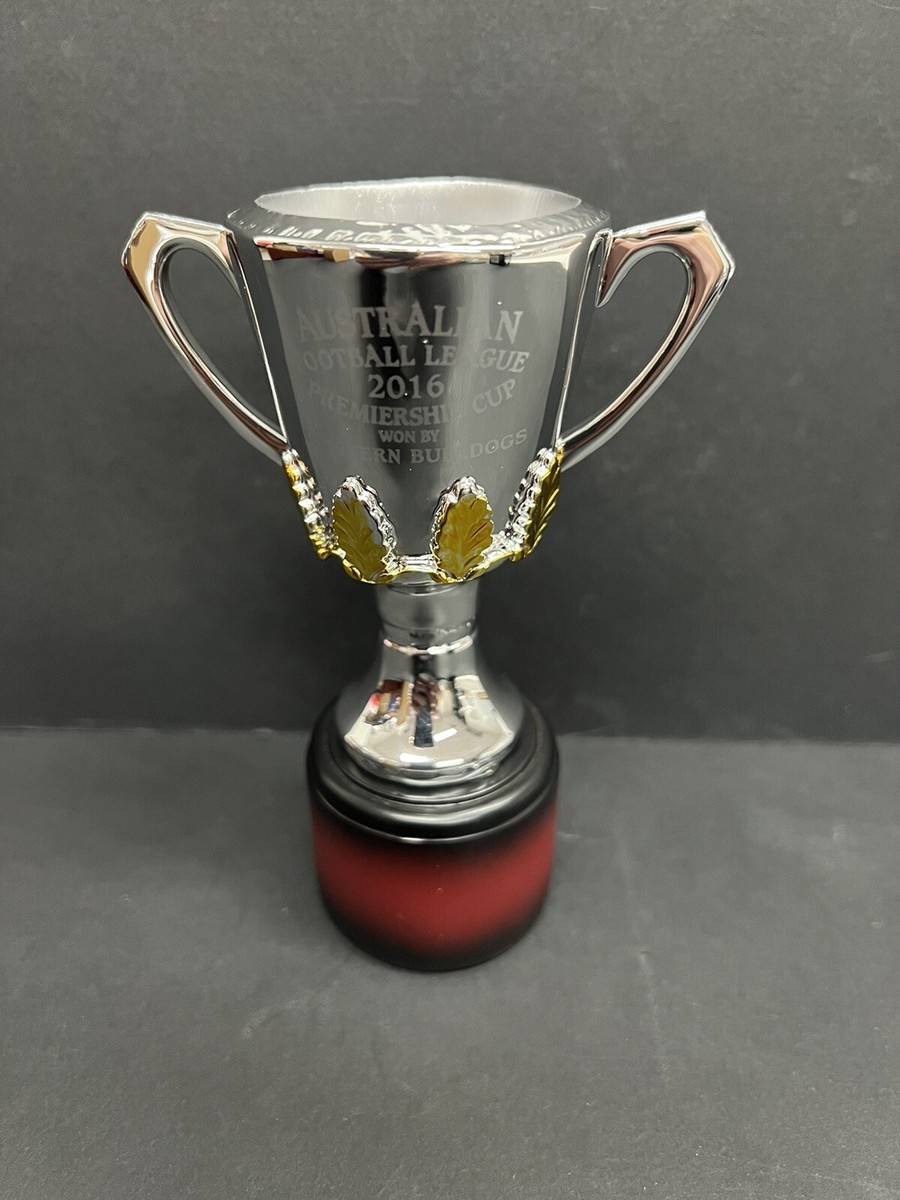 2022 AFL PREMIERS newest RECORD GEELONG