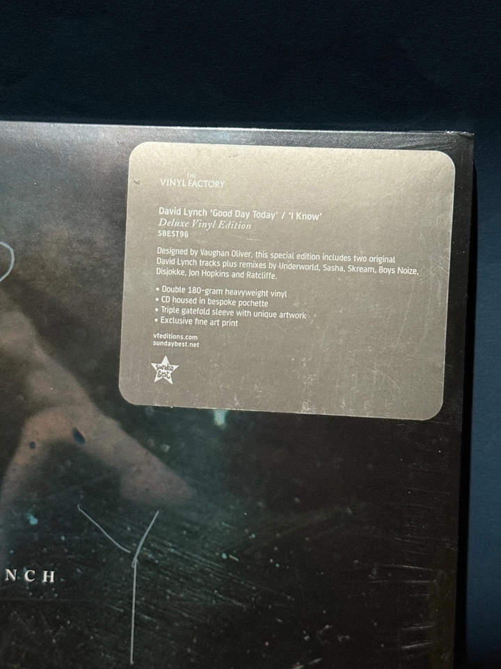 David Lynch GOOD DAY TODAY / I KNOW 12" VINYL 2xLP + CD + Art Print NEW *SEALED* - Image 2 of 3