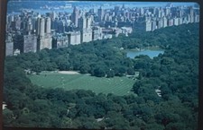 Central Park &ldquo;Sheep Meadow And Lake&rdquo; New York Architecture 35mm Art Slide