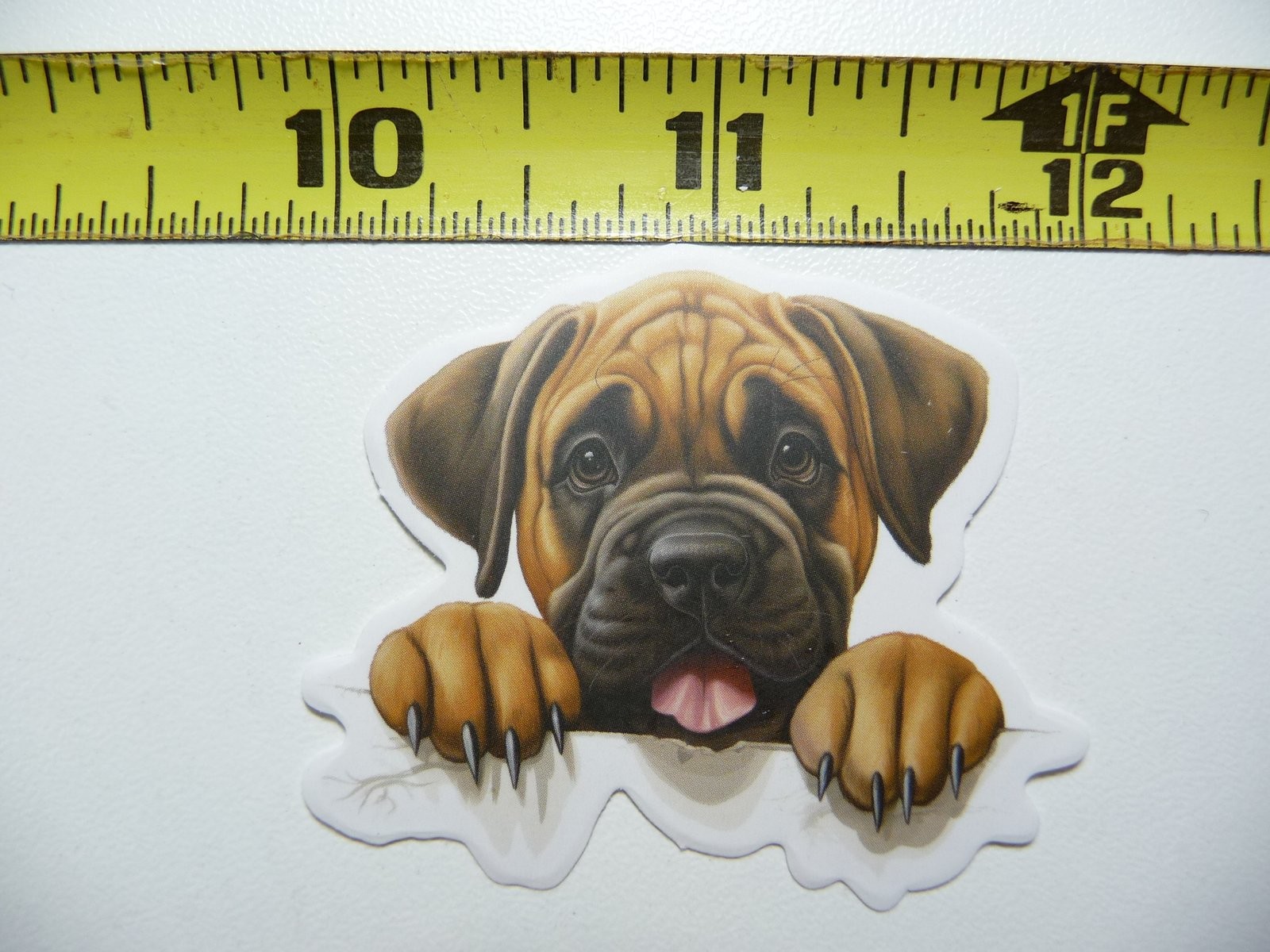 CUTE PEEKING BULLMASTIFF STICKER DECAL PUPPY DOG PET LOVE PEEK A BOO