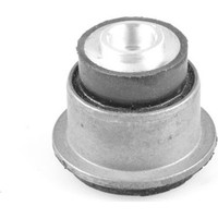 Tedgum 00581387 Lagerung AchsköRper FüR Renault Opel Laguna Trafic Vivaro JL