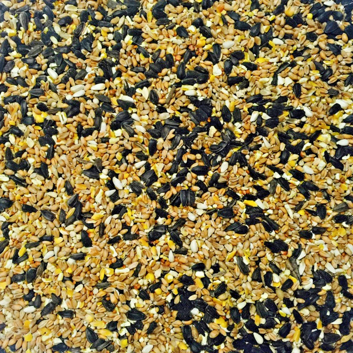 20KG BUCKTONS WILD BIRD FOOD : Natural Garden Feed with Black Sunflower Seed Mix