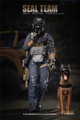 1/6　SEAL TEAM  Minitimestoys Mini Times Toys 1/6 M029 US Navy Special Forces Seal Team Soldier