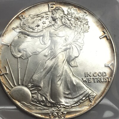 1987 American Silver Eagle 1 Oz Gem Brilliant Uncirculated Coin | eBay