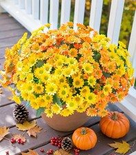6 Bundles UV Resistant Daisy Artificial Flowers for Outdoor Decor