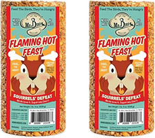 2-Pack of Flaming Hot Feast Small Cylinder 19 Oz.
