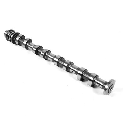 1Pcs Intake Camshaft For 2016-2019 Genuine Hyundai Sonata 2.0L 24100-2E650