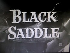 BLACK SADDLE COMPLETE SERIES PLUS PILOT ON DVD MORE THAN 275 SOLD
