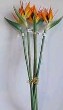 Tropical Bird of ParadiseFloral Stem by Ashland, Tiger Fleurie, Stem 5, New
