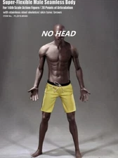 TBLeague PHICEN M36B 1/6 scale Male Seamless Dark Body Steel Skeleton