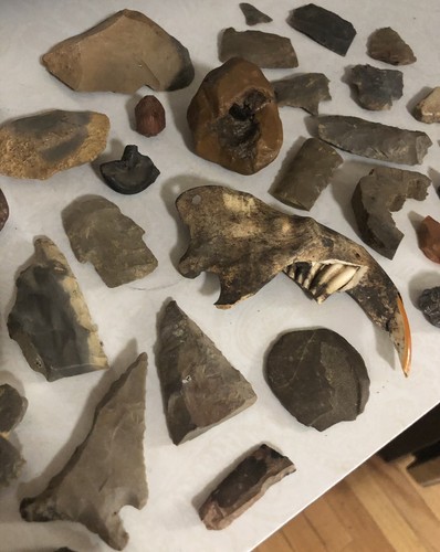 40 Flints, Arrowheads, Fossils & Rocks (Inquisitive Young Mind Gift/Present) - Picture 4 of 8
