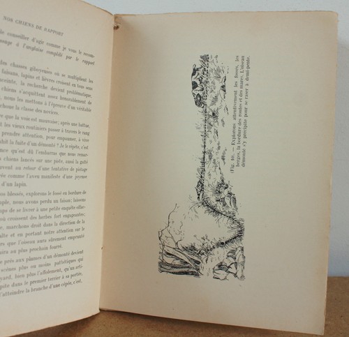 Unsere Berichtshunde auf der Spur des verwundeten Wildes Georges Benoist 1913 - Bild 6 von 8