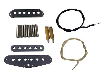 Stratocaster / Strat Single Coil Pickup Build Kit, Alnico 2/3/4/5, Two Staggers