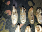 第 4/6 張圖片