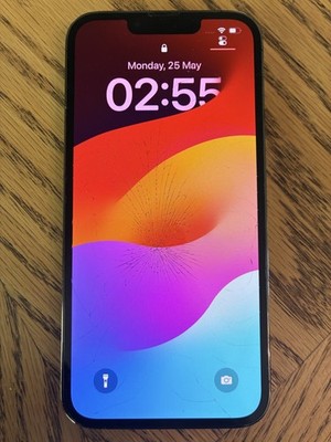 iPhone 13 Pro Alpingrün 1TB Apple 90% Akku beschädigt voll funktionsfähig