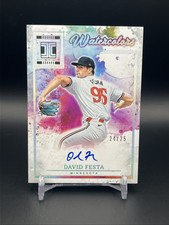 2025 Impeccable Watercolor Signatures DAVID FESTA Auto /25 Holo Silver #WCS-25