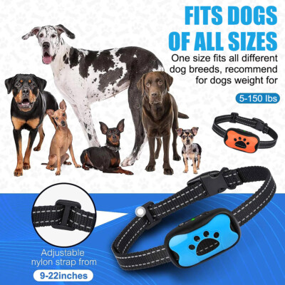 Best Dog Harness For Pulling Pawious Small Dog Bark Collar Humane No Shock,  Rechargeable Anti Barking