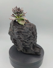 The Last Of Us Clicker Head, Phones Stand, Pen Holder, Planter, 3D Printed