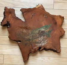 Nature's Best Burl Products-Hand-Painted-Sealed Finish Mountain Scene -W Carlson