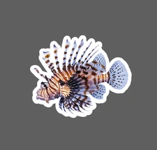 Lionfish Sticker Animal Ocean Wildlife Nature Gift Home Decor Waterproof NEW