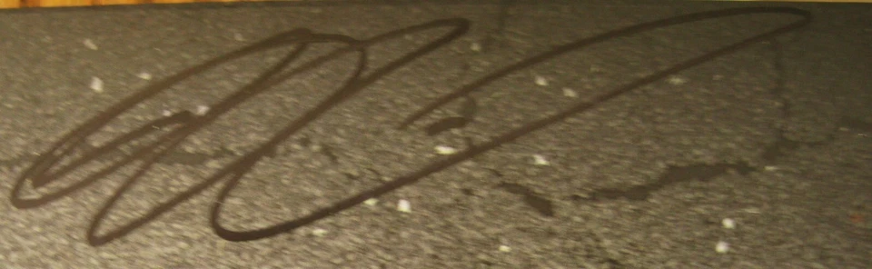 DANIEL RICCIARDO SIGNED LIMITED EDITION BRAZIL RB12 RED BULL MINICHAMPS 1:18 - Image 3 of 4