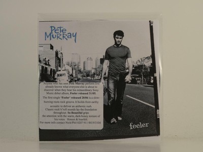 Pete Murray Feeler H1 2 Track Promo Cd Single Picture Sleeve Columbia Ebay