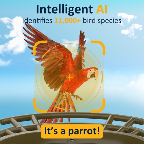 Smart Bird Feeder Wireless Camera Bird Watching Cam 1080P 64GB SolarPowered £129 - 第 5/9 張圖片