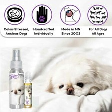 Pekingese Relax Dog Aromatherapy  Calm Anxious, Stressed Pekes Naturally