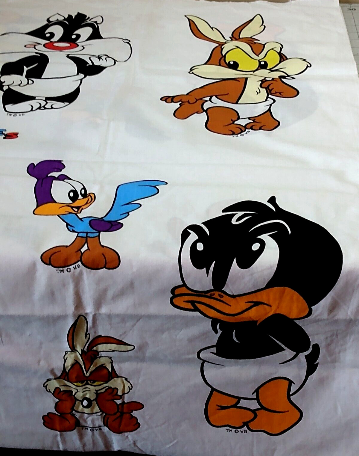1994 Warner Brothers Looney Tunes Lovables Fabric Panel Applique 36" x 46"