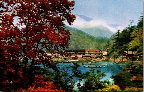 NIKKO NATIONAL PARK Yumoto JAPAN Postcard - Picture 1 of 2